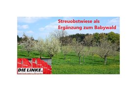 streuobstwiese