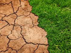 Klimawandel bekämpfen