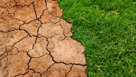 Klimawandel bekämpfen Klimawandel bekämpfen